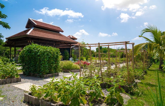 Corso di cucina thailandese - Foto 3