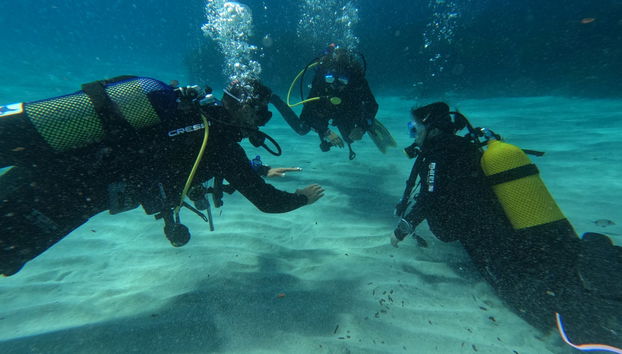 Siguiendo las indicaciones del instructor