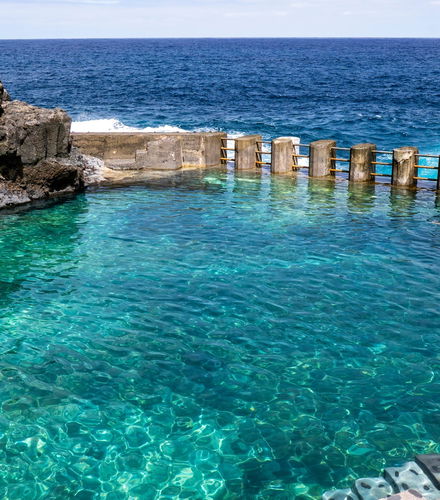 Foto de Excursión al bosque de los Tilos y Charco Azul + Visita a una destilería de ron
