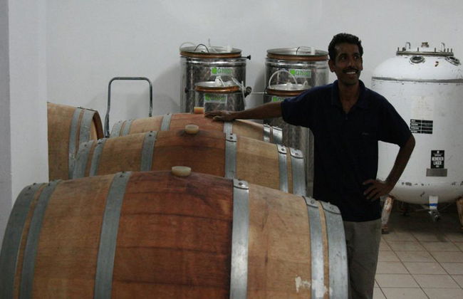 Dégustation de vin à partir de Paphos - Visite en petit groupe - Photo 4