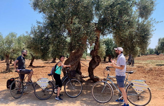 Tour en bicicleta por Monopoli - Foto 4