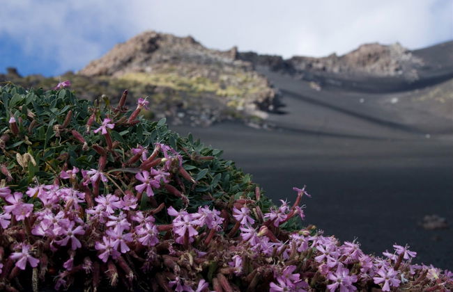 Trekking por el Etna y sus cuevas volcánicas - Foto 2