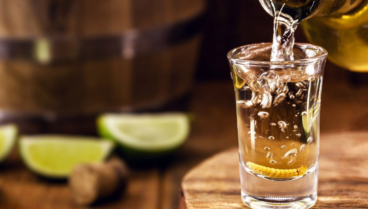 Huatulco Mezcal Tour - Foto 1