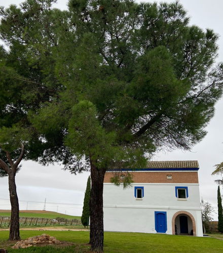 Bild - Visita a las bodegas Rodríguez y Sanzo de Rueda