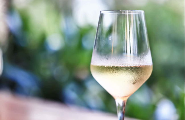 Visita a las bodegas Rodríguez y Sanzo de Rueda - Photo 6