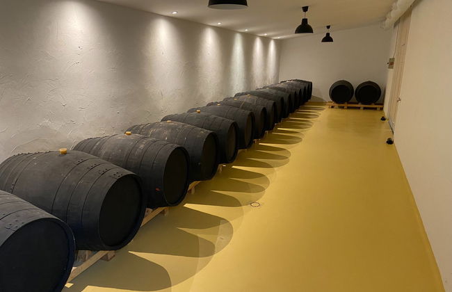 Visita alla cantina Rodríguez y Sanzo di Rueda - Foto 5
