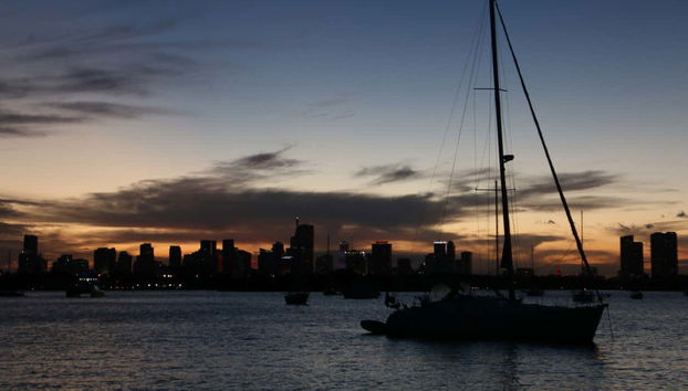 Free tour dans le centre-ville de Miami - Photo 3