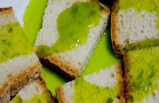 Experiencia de Cosecha de Aceitunas - Tour de Medio Día en Grupo Pequeño - Foto 3