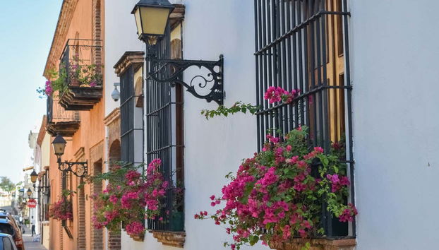 Alternative Santo Domingo Tour - Photo 4