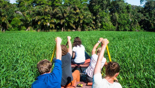 Tortuguero National Park Canoeing Tour - Foto 5