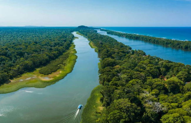 Tortuguero National Park Canoeing Tour - Foto 2