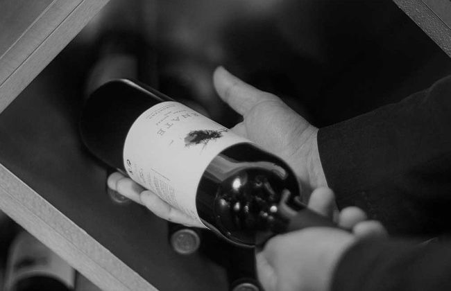 Visita a la bodega ENATE - Foto 7