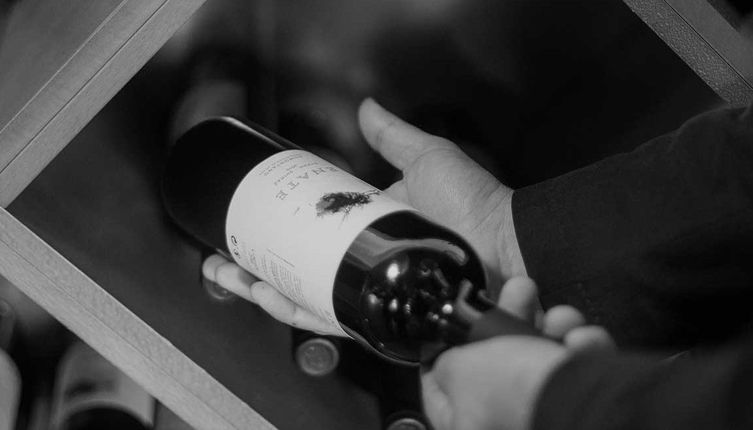 Besuch im Weingut ENATE