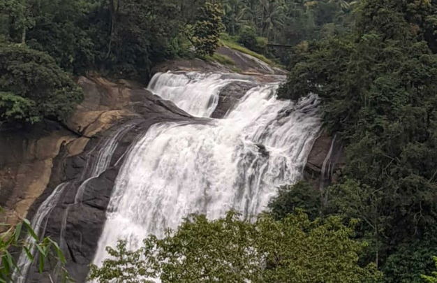 Tour privato delle cascate di Munnar in 4x4 - Foto 15