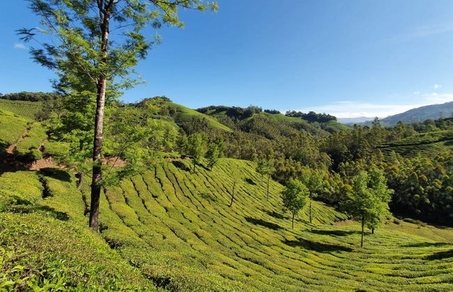 Tour privato delle cascate di Munnar in 4x4 - Foto 2