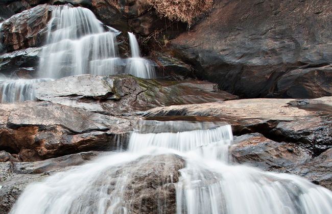 Tour privato delle cascate di Munnar in 4x4 - Foto 16
