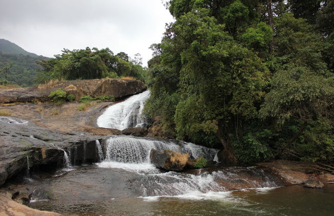 Tour privato delle cascate di Munnar in 4x4 - Foto 10
