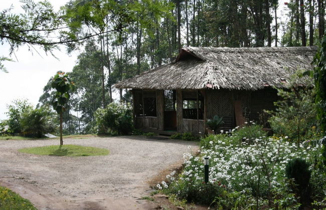 Tour privato delle cascate di Munnar in 4x4 - Foto 4