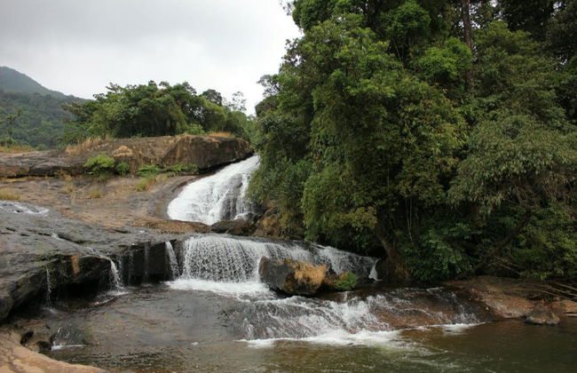 Tour privato delle cascate di Munnar in 4x4 - Foto 3