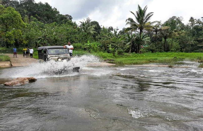 Tour privato delle cascate di Munnar in 4x4 - Foto 9
