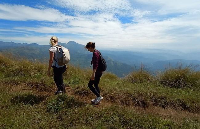 Tour privato delle cascate di Munnar in 4x4 - Foto 5