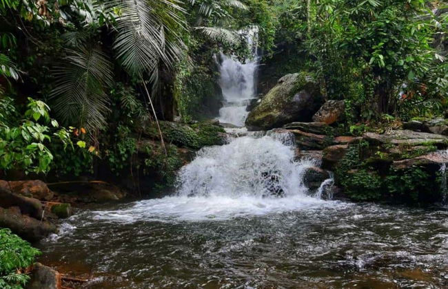 Tour privato delle cascate di Munnar in 4x4 - Foto 12
