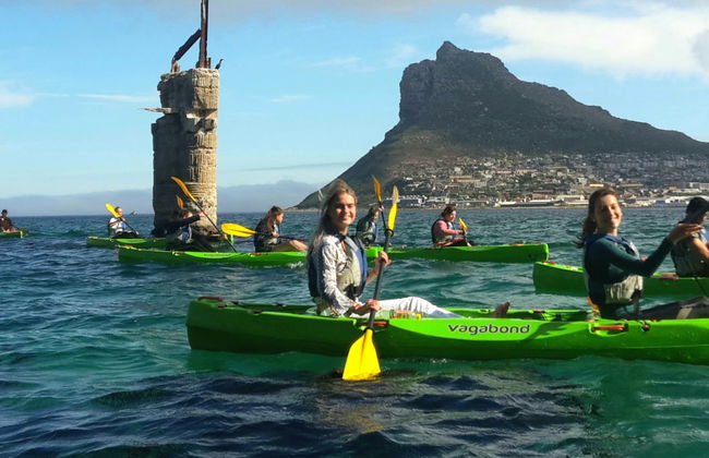 Tour di Città del Capo in kayak - Foto 7