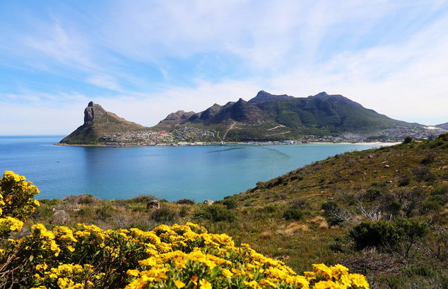 Balade en kayak au Cap - Photo 7