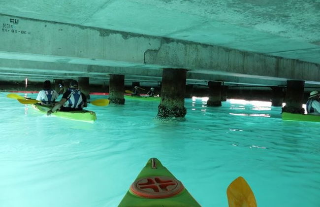 Tour di Città del Capo in kayak - Foto 5