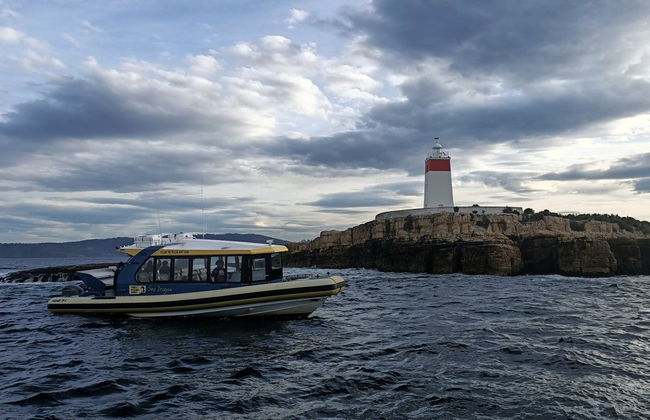 Paseo en barco por la costa de Tasmania - Foto 6