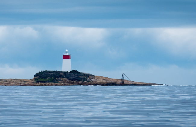 Tasmanian Coast Boat Trip - Photo 7