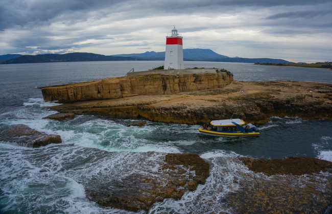 Paseo en barco por la costa de Tasmania - Foto 4