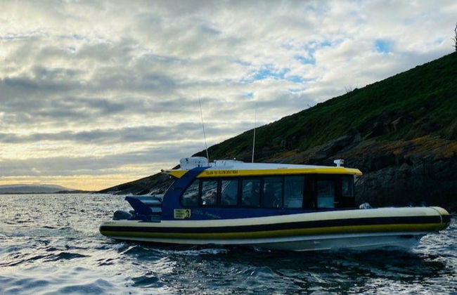 Paseo en barco por la costa de Tasmania - Foto 5