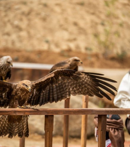 Foto de Entrada a Puy du Fou España + El Sueño de Toledo