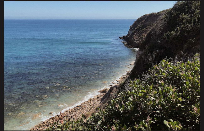 Malibu Beach & Surf Tour - Photo 2