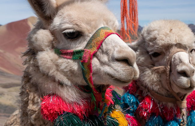 Rainbow Mountain Hike - Foto 6