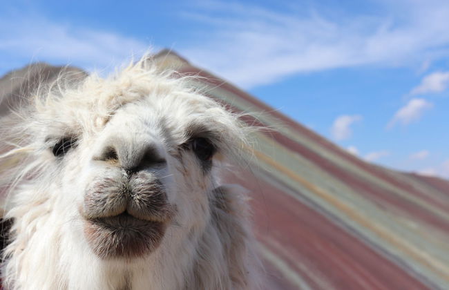 Rainbow Mountain Hike - Foto 4