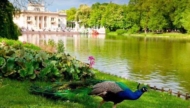 Warsaw Hop-On Hop-Off Bus Tour - Foto 4