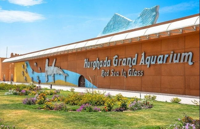Entrada al acuario de Hurghada con transporte - Foto 2
