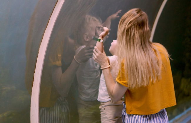 Entrada al acuario de Hurghada con transporte - Foto 7