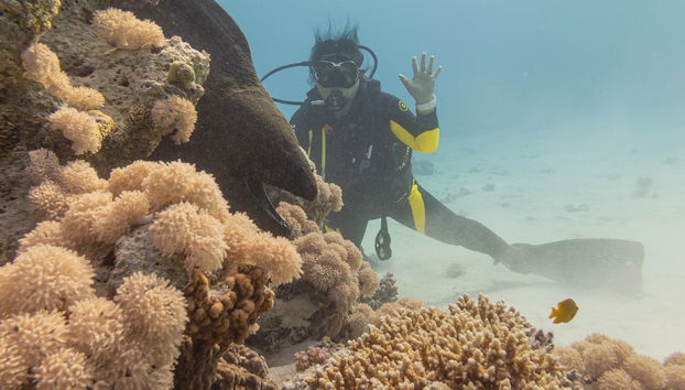 Entrada al acuario de Hurghada con transporte - Foto 4
