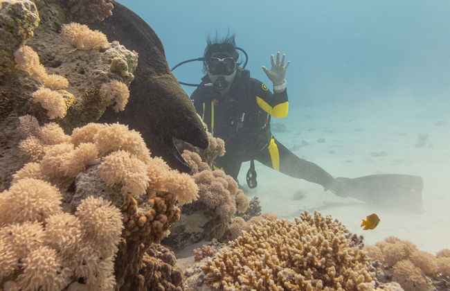 Entrada al acuario de Hurghada con transporte - Foto 4