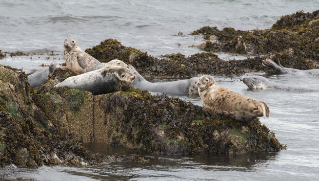 Balade en bateau sous les ponts de Forth - Photo 5
