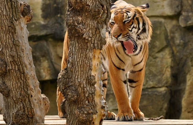 Paseo en barco + Entrada al zoo de Praga - Foto 3