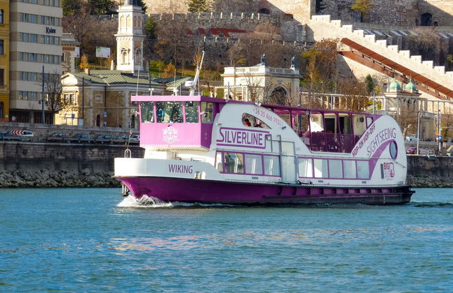 Crucero con pizza - Foto 6