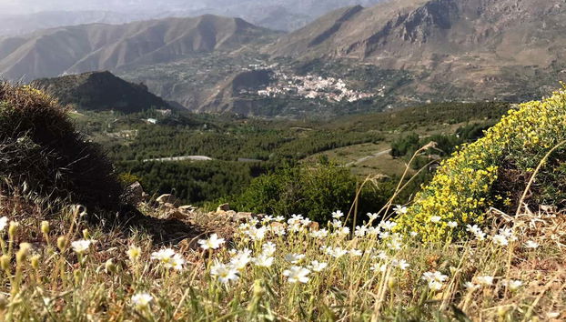 Excursión a Sierra Nevada en 4x4 - Foto 4
