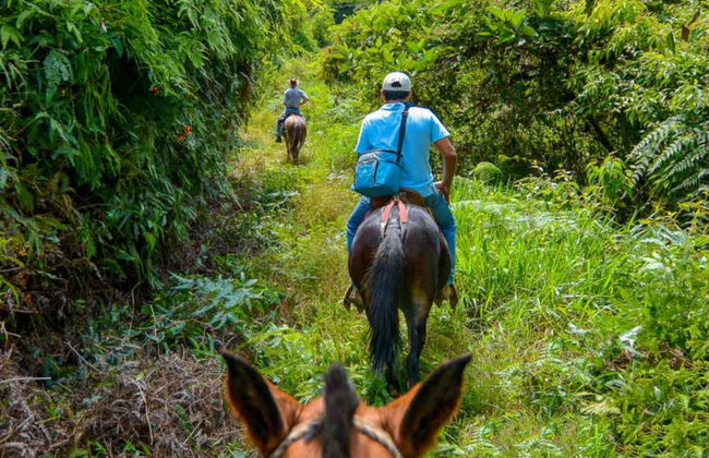 Iguazu Jungle Horseback Ride - Foto 7