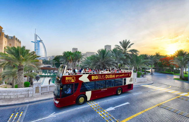 Autobus turistico di Dubai, Big Bus - Foto 4
