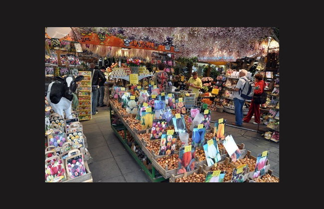 Tour privado por Ámsterdam - Foto 1