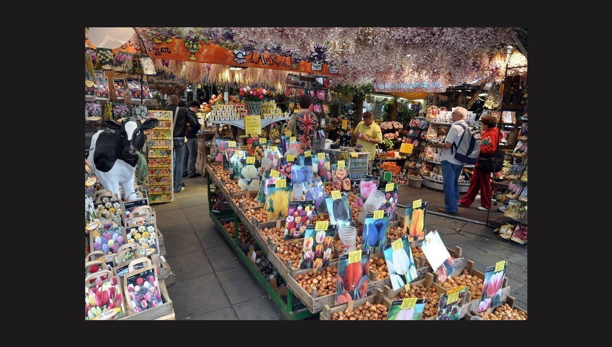 Tour privato di Amsterdam con guida in italiano - Foto 1